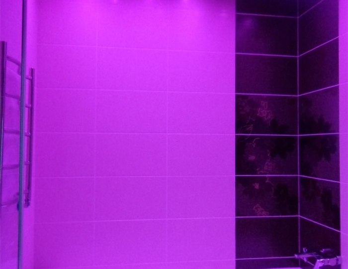 Корпус №1 Двухместный двухкомнатный люкс № 2 - Санаторий «Белорусочка» Беларусь